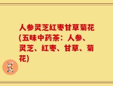 人参灵芝红枣甘草菊花(五味中药茶：人参、灵芝、红枣、甘草、菊花)
