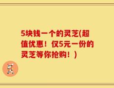 5块钱一个的灵芝(超值优惠！仅5元一份的灵芝等你抢购！)