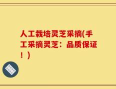 人工栽培灵芝采摘(手工采摘灵芝：品质保证！)