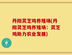 丹阳灵芝鸡养殖场(丹阳灵芝鸡养殖场：灵芝鸡助力农业发展)