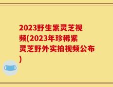 2023野生紫灵芝视频(2023年珍稀紫灵芝野外实拍视频公布)