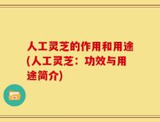 人工灵芝的作用和用途(人工灵芝：功效与用途简介)