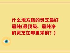 什么地方粗的灵芝最好最纯(最顶级、最纯净的灵芝在哪里采摘？)