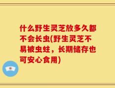 什么野生灵芝放多久都不会长虫(野生灵芝不易被虫蛀，长期储存也可安心食用)