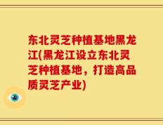 东北灵芝种植基地黑龙江(黑龙江设立东北灵芝种植基地，打造高品质灵芝产业)