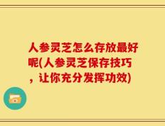 人参灵芝怎么存放最好呢(人参灵芝保存技巧，让你充分发挥功效)