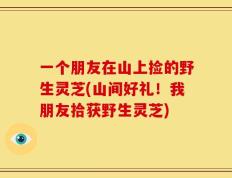 一个朋友在山上捡的野生灵芝(山间好礼！我朋友拾获野生灵芝)