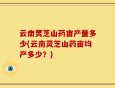 云南灵芝山药亩产量多少(云南灵芝山药亩均产多少？)