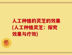 人工种植的灵芝的效果(人工种植灵芝：探究效果与疗效)