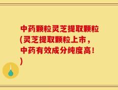 中药颗粒灵芝提取颗粒(灵芝提取颗粒上市，中药有效成分纯度高！)