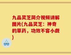 九品灵芝简介视频讲解图片(九品灵芝：神奇的草药，功效不容小觑)