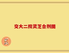 交大二院灵芝合剂图