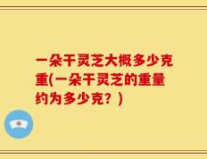一朵干灵芝大概多少克重(一朵干灵芝的重量约为多少克？)