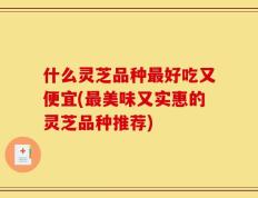 什么灵芝品种最好吃又便宜(最美味又实惠的灵芝品种推荐)