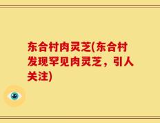 东合村肉灵芝(东合村发现罕见肉灵芝，引人关注)