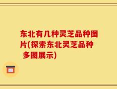 东北有几种灵芝品种图片(探索东北灵芝品种 多图展示)