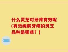 什么灵芝对牙疼有效呢(有效缓解牙疼的灵芝品种是哪些？)