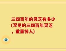 三四百年的灵芝有多少(罕见的三四百年灵芝，重量惊人)