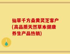 仙草千方桑黄灵芝客户(高品质天然草本健康养生产品热销)