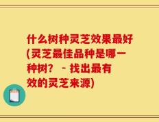 什么树种灵芝效果最好(灵芝最佳品种是哪一种树？ - 找出最有效的灵芝来源)