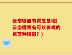 云南哪里有灵芝基地(云南哪里有可以参观的灵芝种植园？)