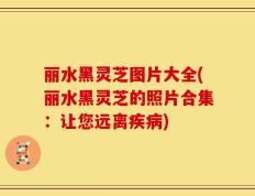 丽水黑灵芝图片大全(丽水黑灵芝的照片合集：让您远离疾病)