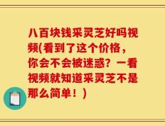 八百块钱采灵芝好吗视频(看到了这个价格，你会不会被迷惑？一看视频就知道采灵芝不是那么简单！)