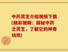 中药灵芝介绍视频下载(精彩视频：探秘中药之灵芝，了解它的神奇功效)