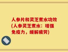 人参片和灵芝煮水功效(人参灵芝煮水：增强免疫力，缓解疲劳)