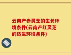 云南产赤灵芝的生长环境条件(云南产红灵芝的适生环境条件)