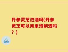 丹参灵芝泡酒吗(丹参灵芝可以用来泡制酒吗？)