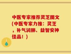 中医专家推荐灵芝图文(中医专家力推：灵芝，补气润肺、益智安神佳品！)
