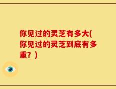 你见过的灵芝有多大(你见过的灵芝到底有多重？)