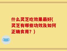 什么灵芝吃效果最好(灵芝有哪些功效及如何正确食用？)