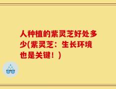 人种植的紫灵芝好处多少(紫灵芝：生长环境也是关键！)