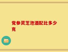 党参灵芝泡酒配比多少克