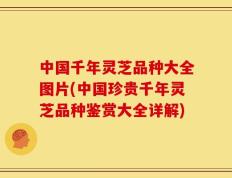 中国千年灵芝品种大全图片(中国珍贵千年灵芝品种鉴赏大全详解)