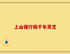 上山强行摘千年灵芝
