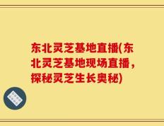 东北灵芝基地直播(东北灵芝基地现场直播，探秘灵芝生长奥秘)