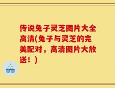 传说兔子灵芝图片大全高清(兔子与灵芝的完美配对，高清图片大放送！)