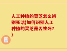 人工种植的灵芝怎么辨别死活(如何识别人工种植的灵芝是否生死？)