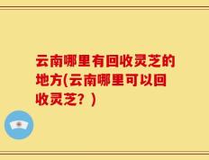 云南哪里有回收灵芝的地方(云南哪里可以回收灵芝？)