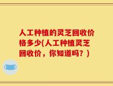 人工种植的灵芝回收价格多少(人工种植灵芝回收价，你知道吗？)
