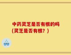 中药灵芝是否有根的吗(灵芝是否有根？)