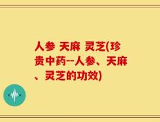 人参 天麻 灵芝(珍贵中药--人参、天麻、灵芝的功效)