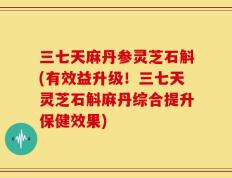 三七天麻丹参灵芝石斛(有效益升级！三七天灵芝石斛麻丹综合提升保健效果)