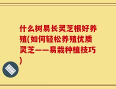 什么树易长灵芝根好养殖(如何轻松养殖优质灵芝——易栽种植技巧)