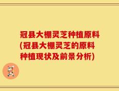 冠县大棚灵芝种植原料(冠县大棚灵芝的原料种植现状及前景分析)