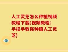 人工灵芝怎么种植视频教程下载(视频教程：手把手教你种植人工灵芝)