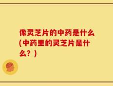 像灵芝片的中药是什么(中药里的灵芝片是什么？)